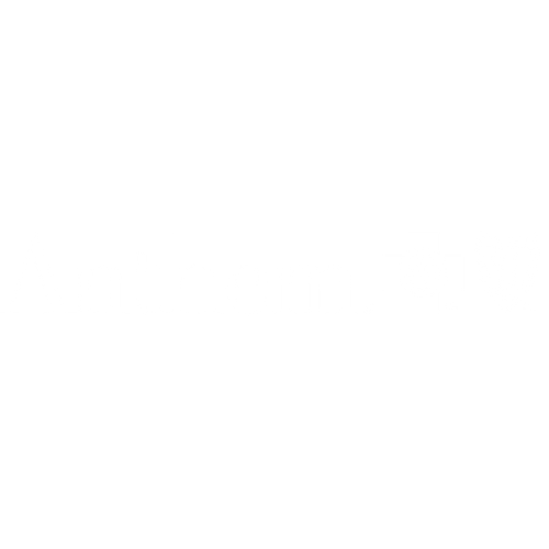 Anthem Blue Cross logo